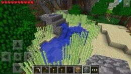 Can You Grow Mushrooms In Minecraft Pe Minecraft Pocket Edition How To Grow Melons Sugar And Mushrooms By Phtech Minecraft Amino