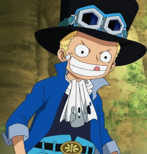 sabo-wiki-anime-amino