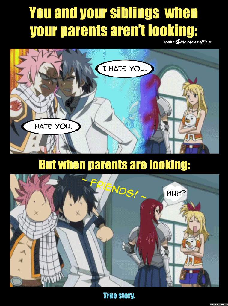 Fairy Tail Funny Memes Wiki Anime Amino