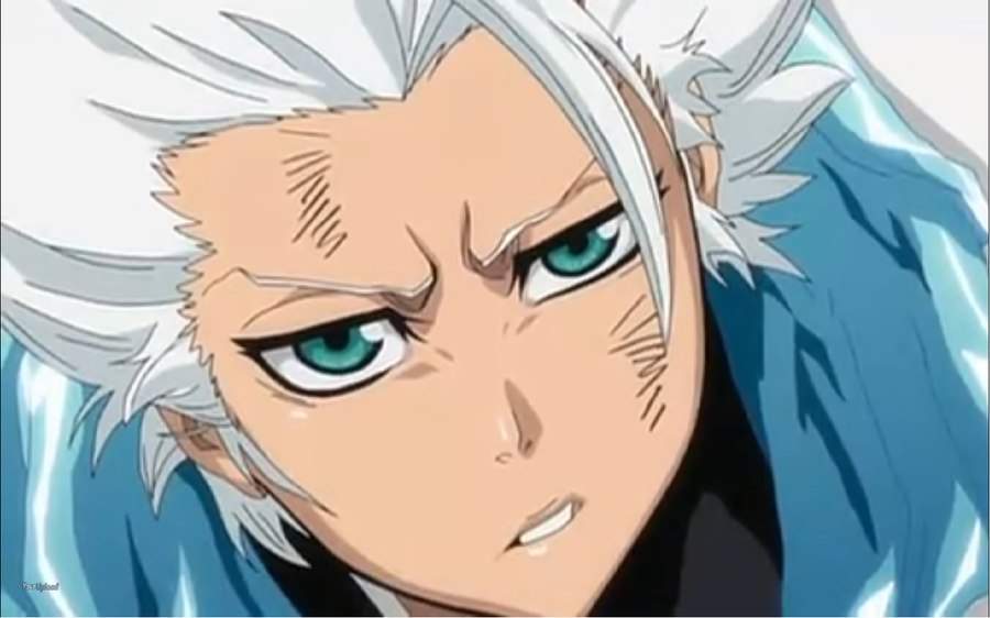 hitsugaya toshiro nendoroid