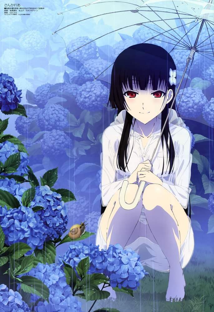 Sankarea Wiki Anime Amino