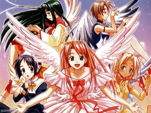 Love Hina Wiki Anime Amino