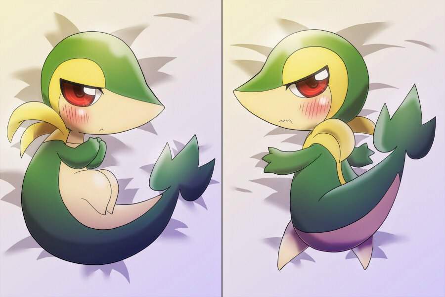 greninja body pillow