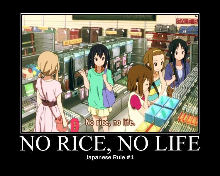 no rice no life