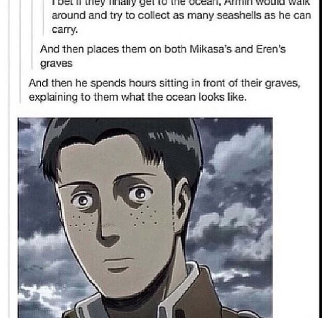 Aot Funny Pictures | Anime Amino