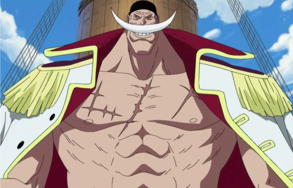 whitebeard-wiki-anime-amino