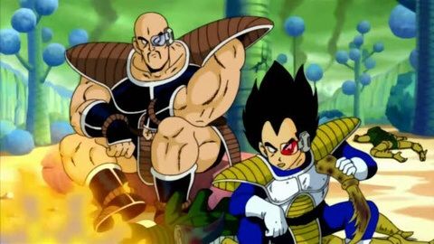 Nappa | Wiki | Anime Amino