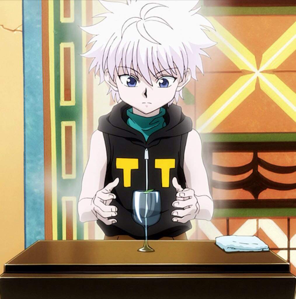 Hunter x Hunter: Netero Theory | Anime Amino