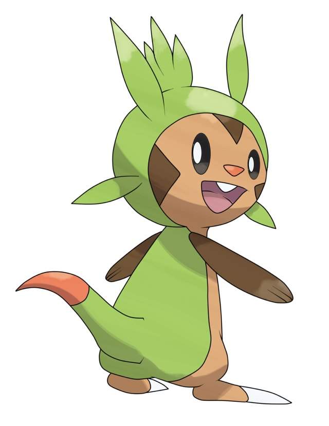 Chespin | Wiki | Anime Amino