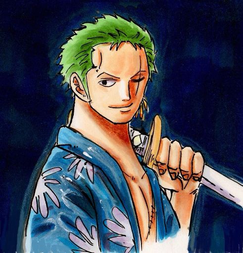 Ronroa Zoro | Wiki | Anime Amino