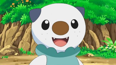 Oshawott | Wiki | Anime Amino