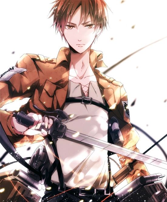 AoT Military Guide | Anime Amino