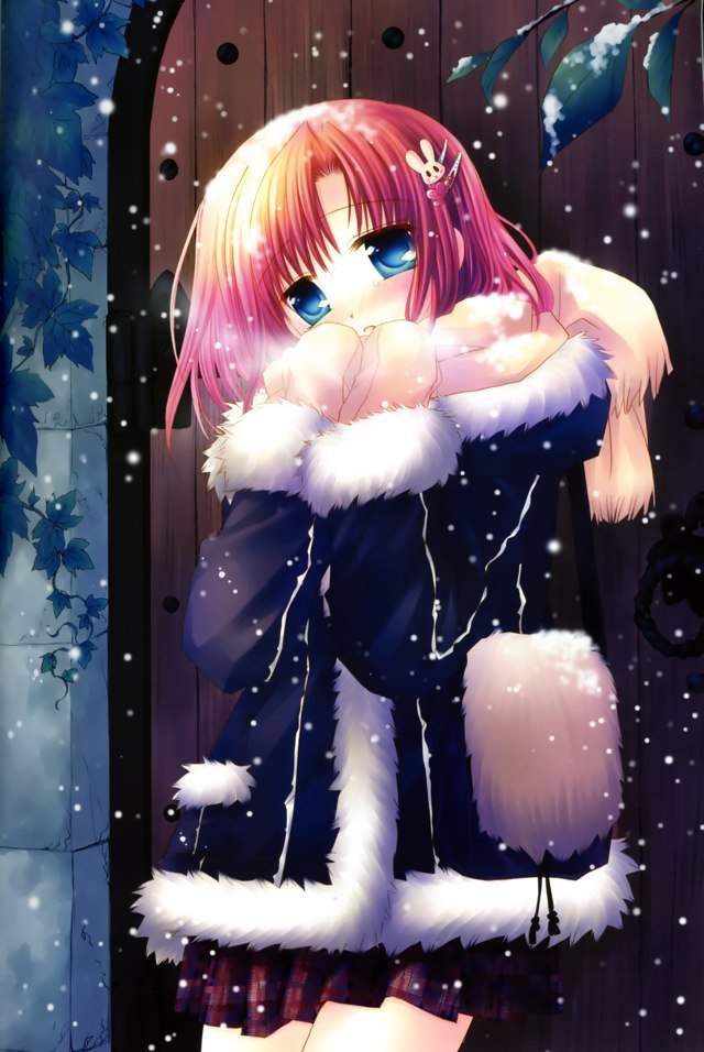 snow-anime-amino