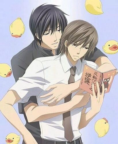 Featured image of post Junjou Romantica Wikipedia