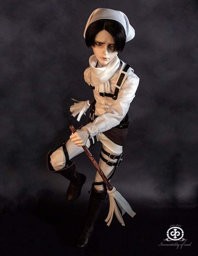 levi doll anime amino