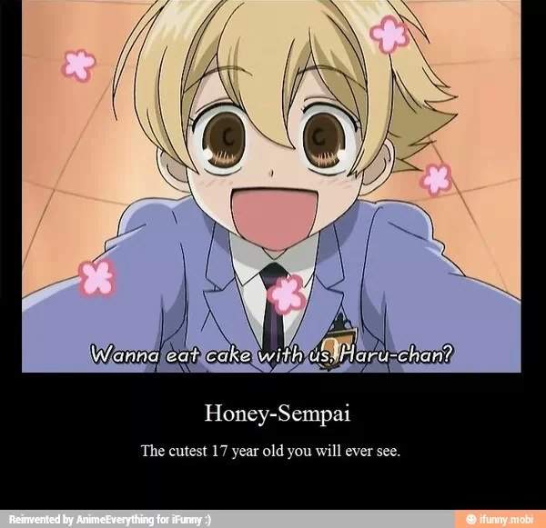 honey senpai usa chan