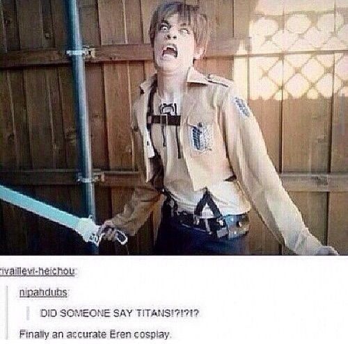 Funny AOT PICS: PART 1 | Anime Amino