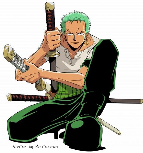 Roronoa Zoro | Wiki | Anime Amino