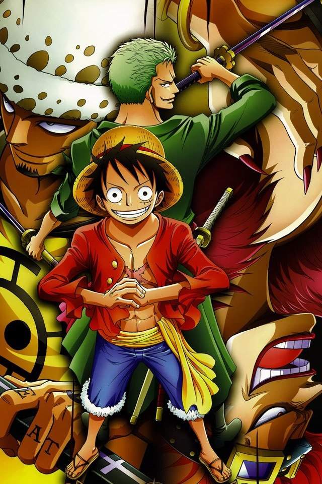 One piece  Anime Amino