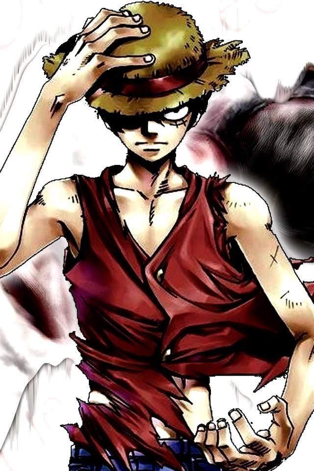 One piece | Anime Amino