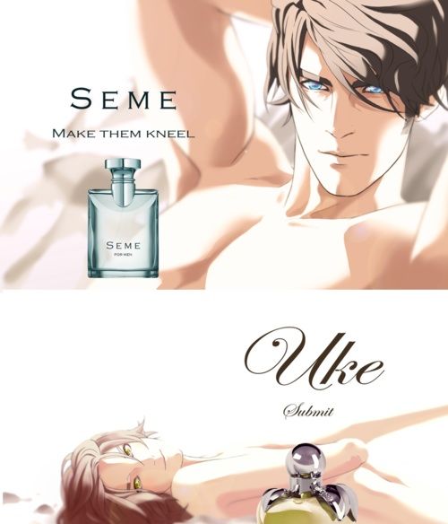 Seme or Uke? 