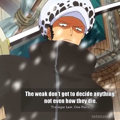One Piece Quotes Wiki Anime Amino