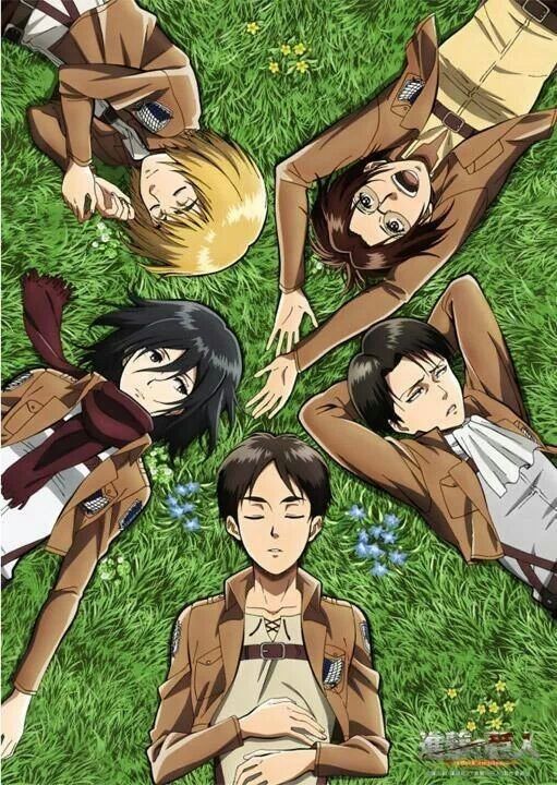 Attack On Titan | Wiki | Anime Amino