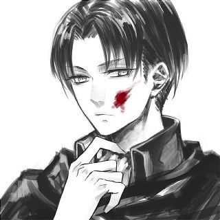 Levi | Wiki | Anime Amino