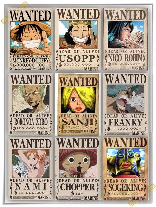 One Piece Wanted Posters | Wiki | Anime Amino