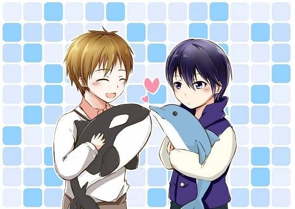 🐬Free! | Wiki | Anime Amino