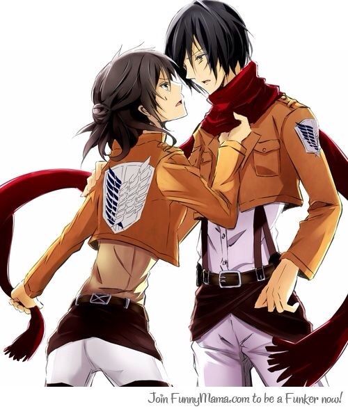 Mikaso (male Mikasa) Ackerman | Wiki | Anime Amino