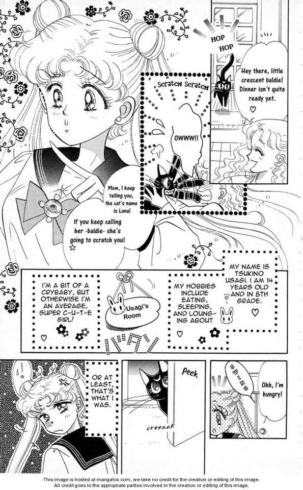 Sailor Moon Manga | Wiki | Anime Amino