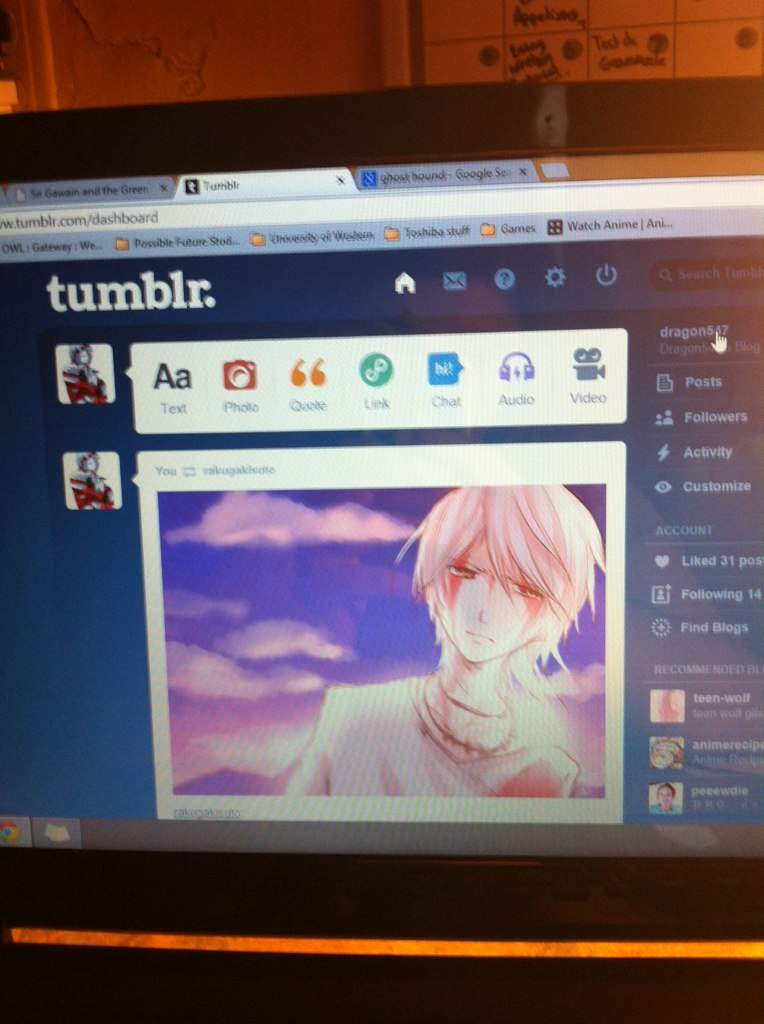 Anime Blogs Tumblr