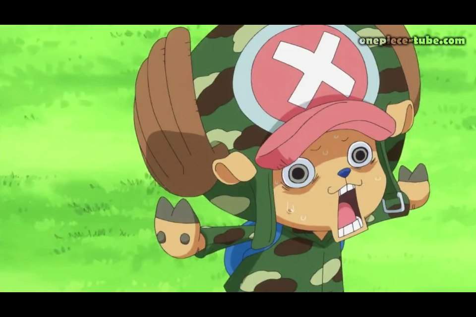 One Piece Episode 662 Anime Amino