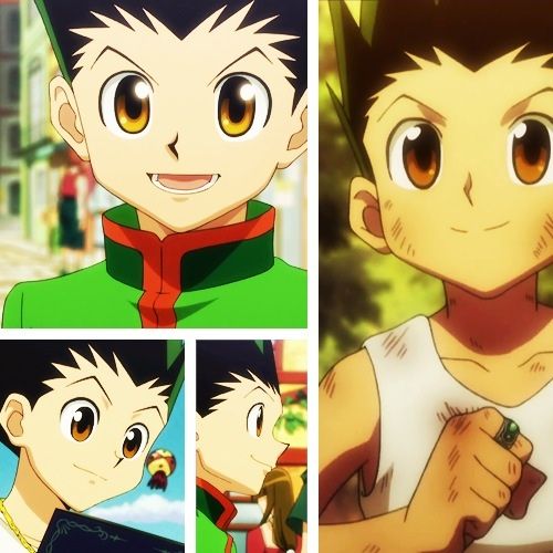 Gon Furikusu | Wiki | Anime Amino