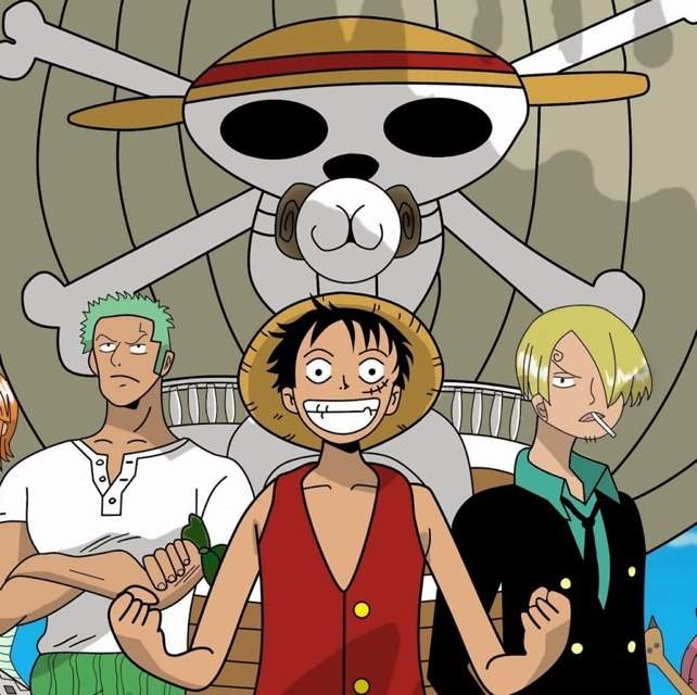 One Piece  Wiki  Anime Amino