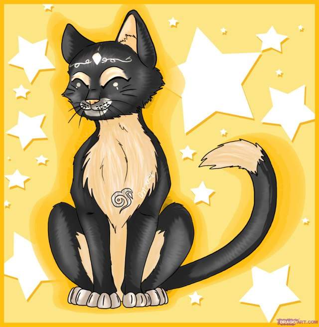 Cat | Anime Amino