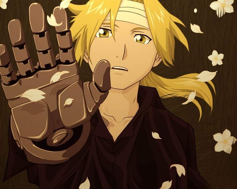 Fullmetal Alchemist Brotherhood | Wiki | Anime Amino