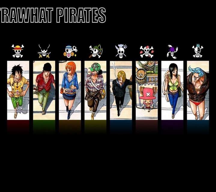 One Piece | Wiki | Anime Amino