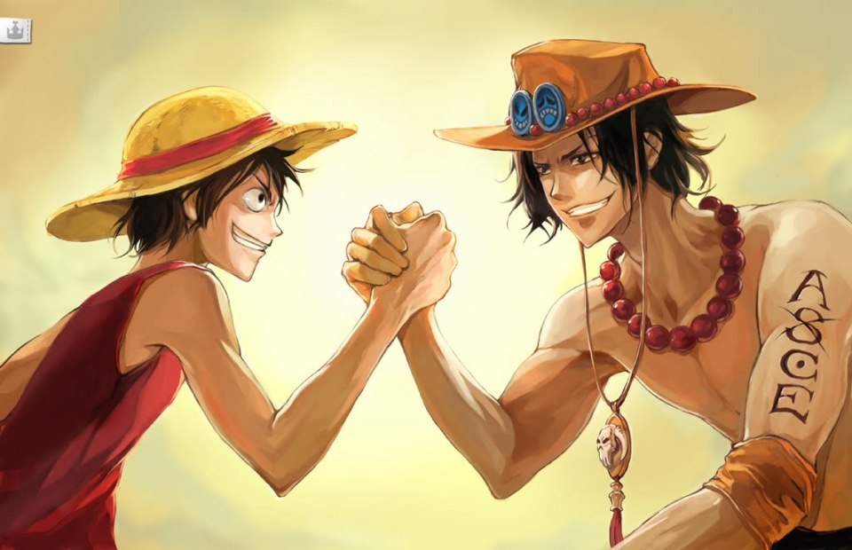 One Piece  Wiki  Anime Amino