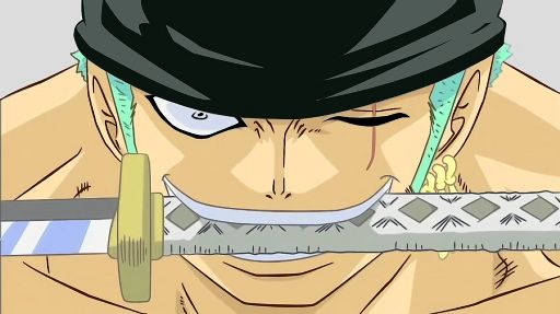 Roronoa Zoro | Wiki | Anime Amino