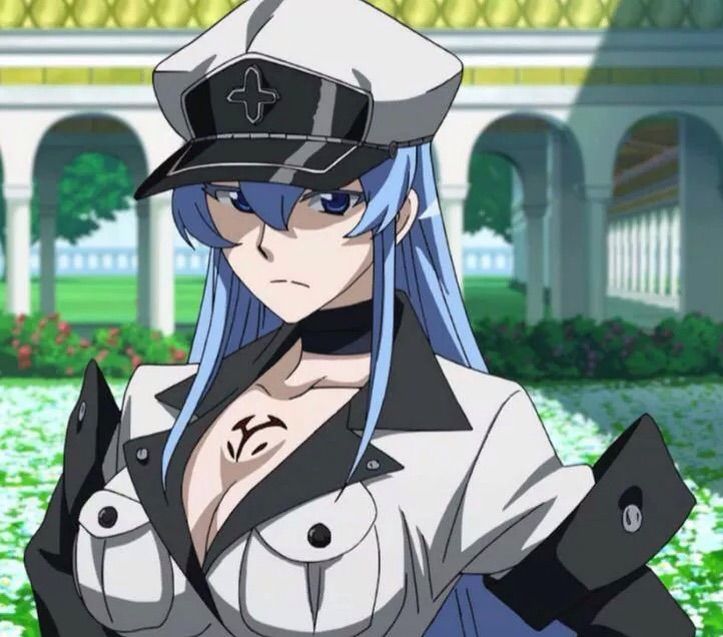 Esdeath X Tatsumi 