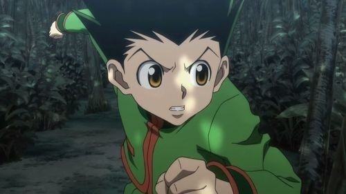 Gon Furikusu | Wiki | Anime Amino