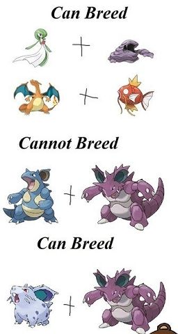 pokemon breeding is stupid | Anime Amino