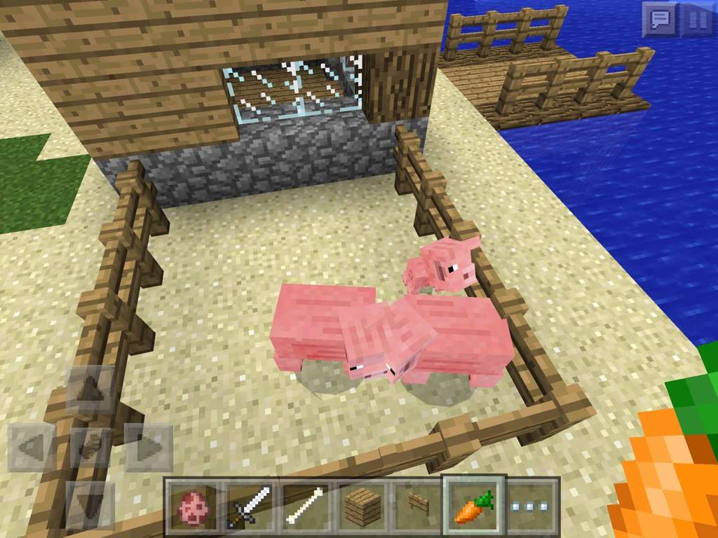如何让动物繁殖 Minecraft Amino