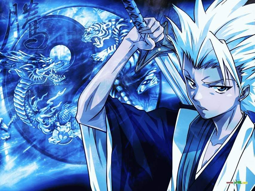 Toshiro Hitsugaya | Wiki | Anime Amino